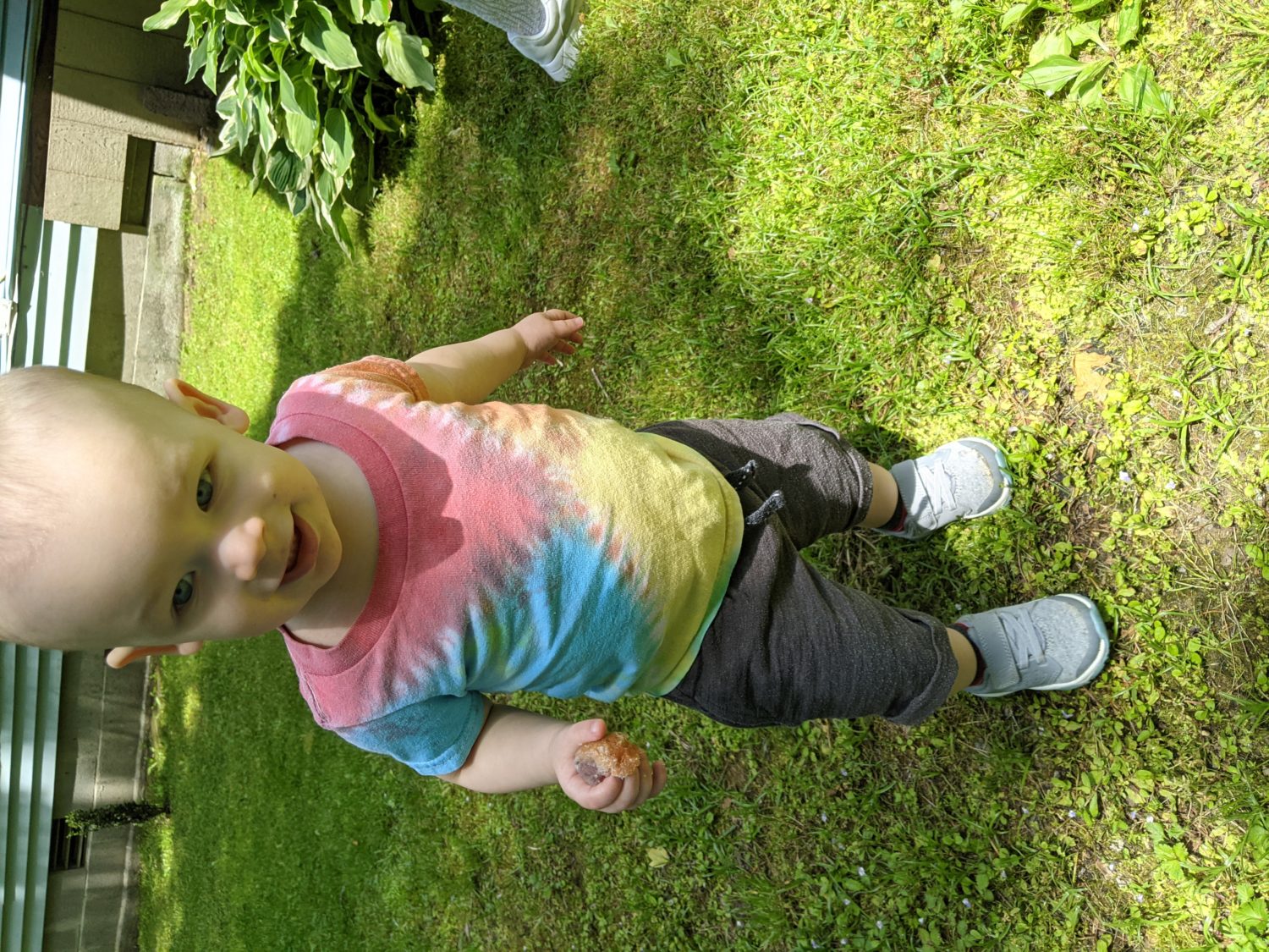 Upload a Photo