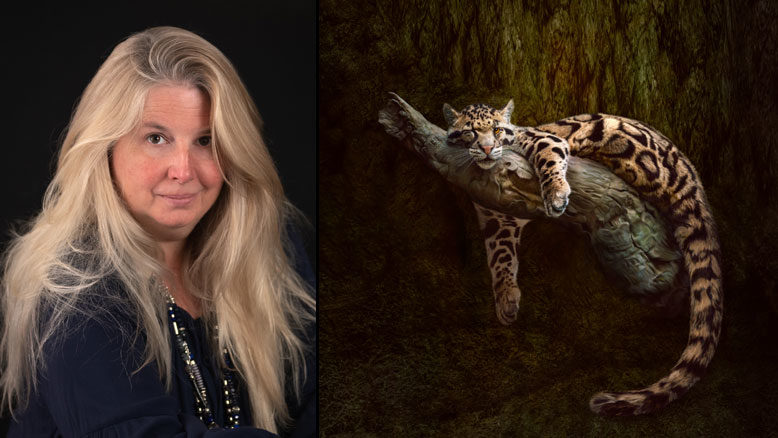 Karen Fox Photographer
